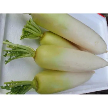 Natural Radish 